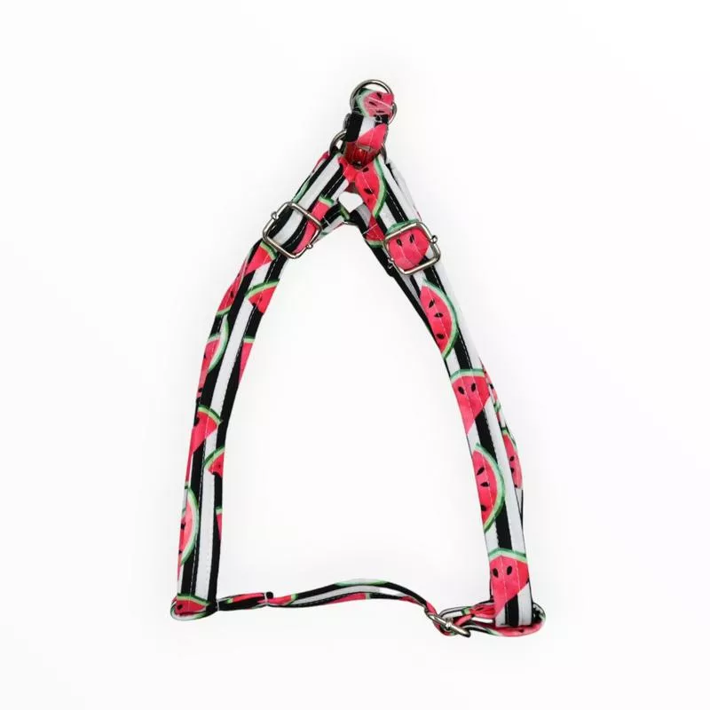 Strap Harness Melon Delight LargeBlack
