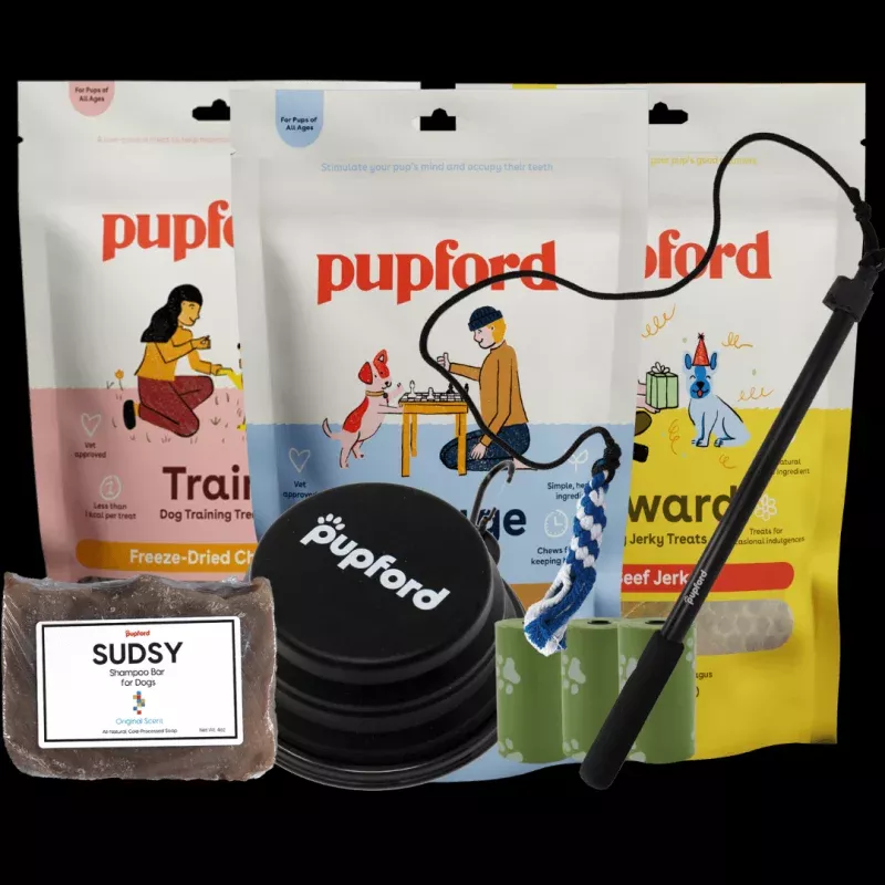 Summer Pups Pack Large