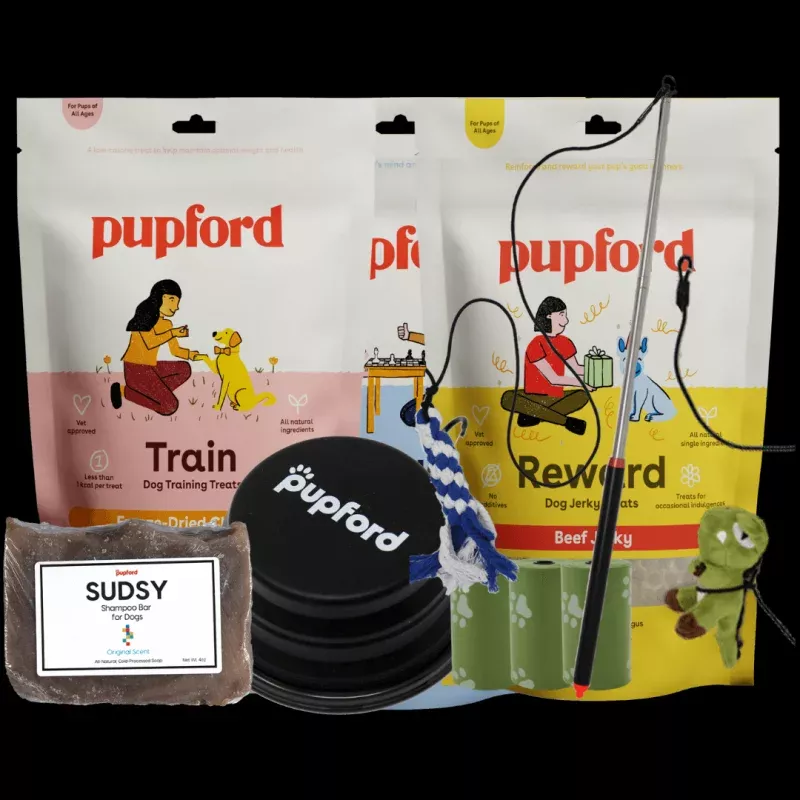 Summer Pups Pack Small