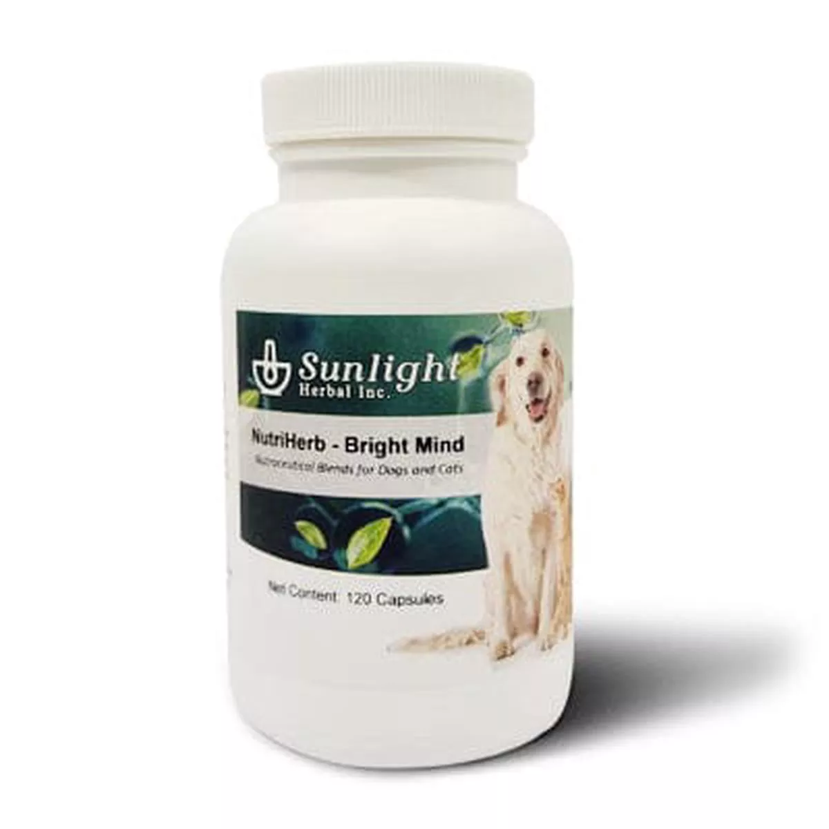 Sunlight Herbal NutriHerb – Bright Mind 0.4g Capsules #120