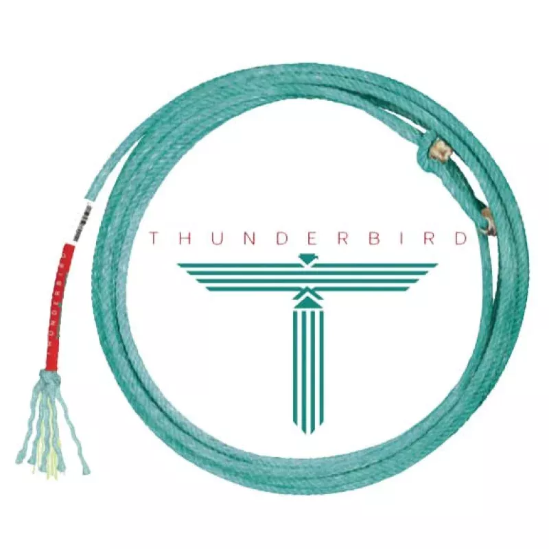 Thunderbird Nylon/Poly Team Ropes - Head & Heel Roping Ropes, Aqua Aqua
