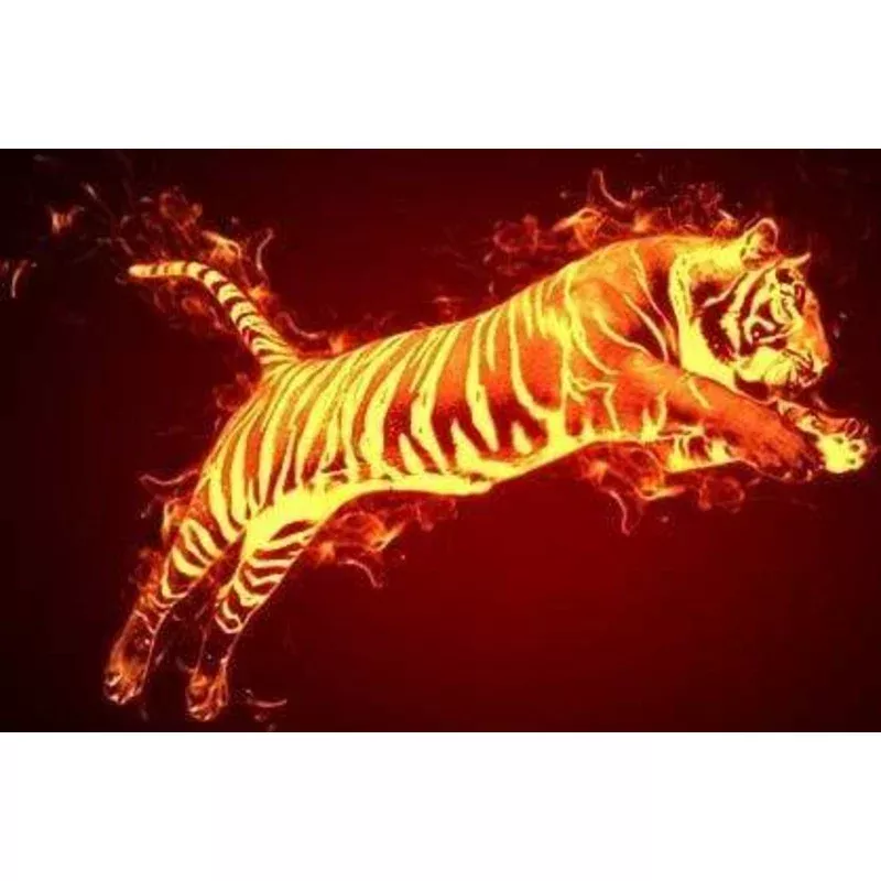 Tiger in fire – Transform Your Backyard into a Wildlife Oasis for All Creatures