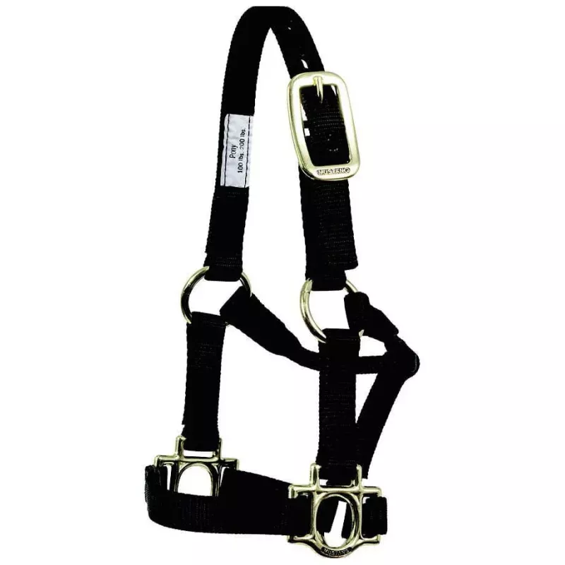 Traditional Nylon Pony Halter Black