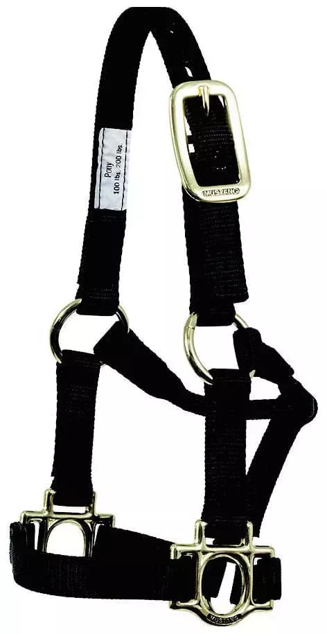 Traditional Nylon Pony Halter