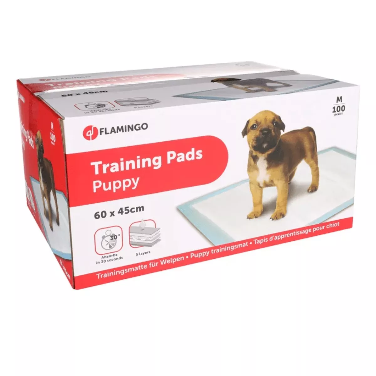 TRAINING PAD PADY M 100PCS 60x45CM