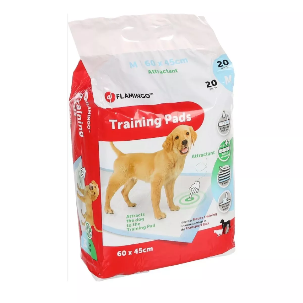 TRAINING PAD PADY M 20PCS ATTRACTANT 60x45CM