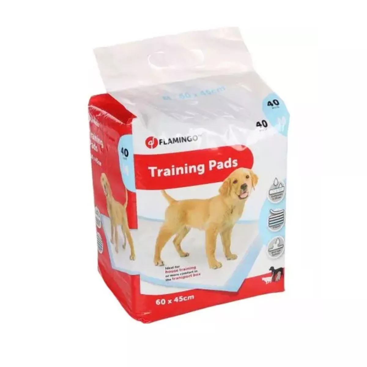 TRAINING PAD PADY M 40PCS 60x45CM