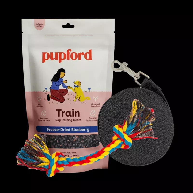 Training Starter Pack with Blueberry and Small Lead