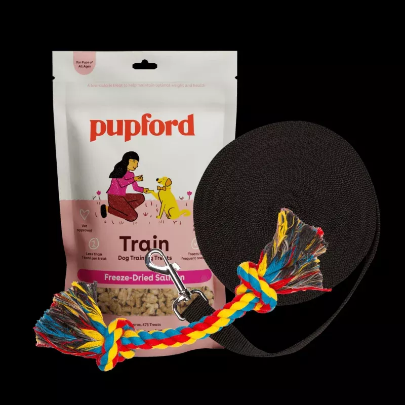 Training Starter Pack with Salmon and Large Lead