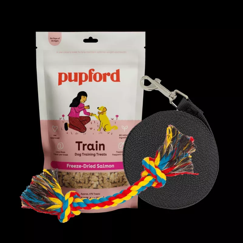 Training Starter Pack with Salmon and Small Lead