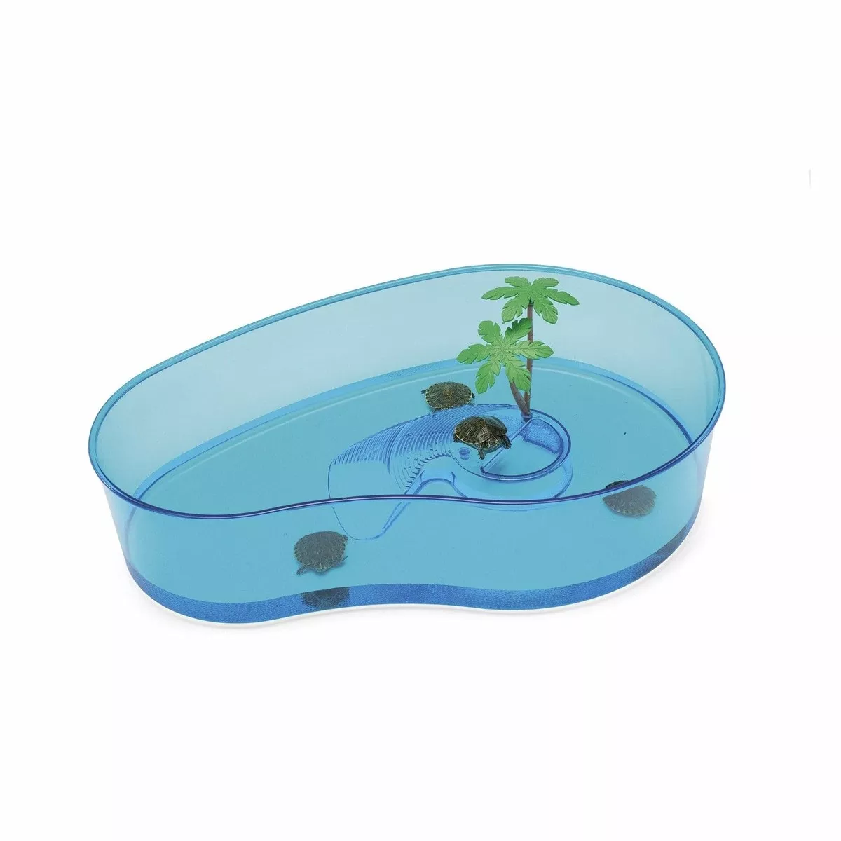 Transp Comma Turtle