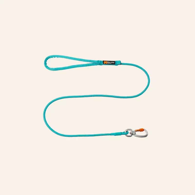 Trekking Rope Leash - Teal