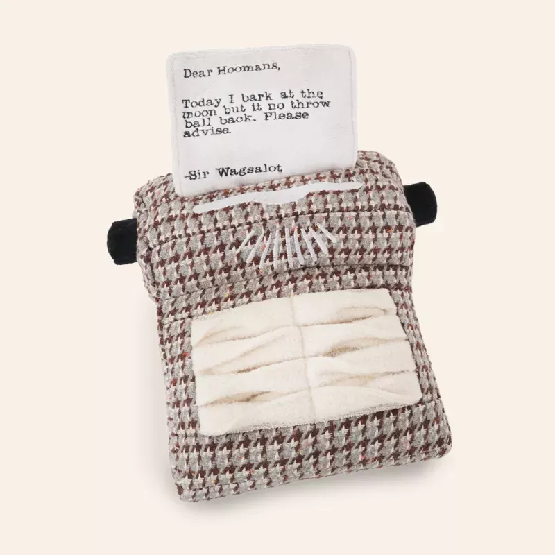 Typewriter Enrichment Snuffle Toy