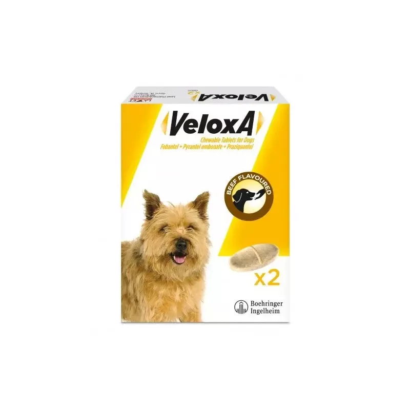 Veloxa Worming Tablets For Dogs 2 Pack