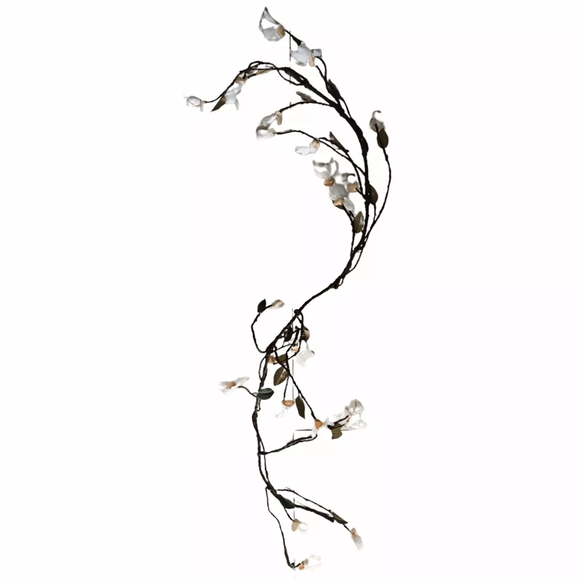 Vine With White Flowers