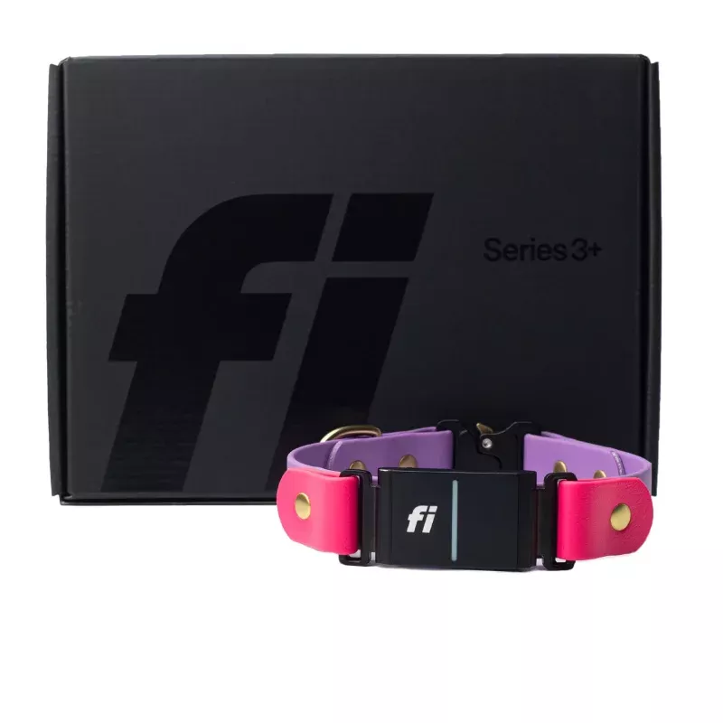 Waterproof BioThane Fixed Quick Release Collar | Fi Series 3+ GPS + 6 Month Subscription