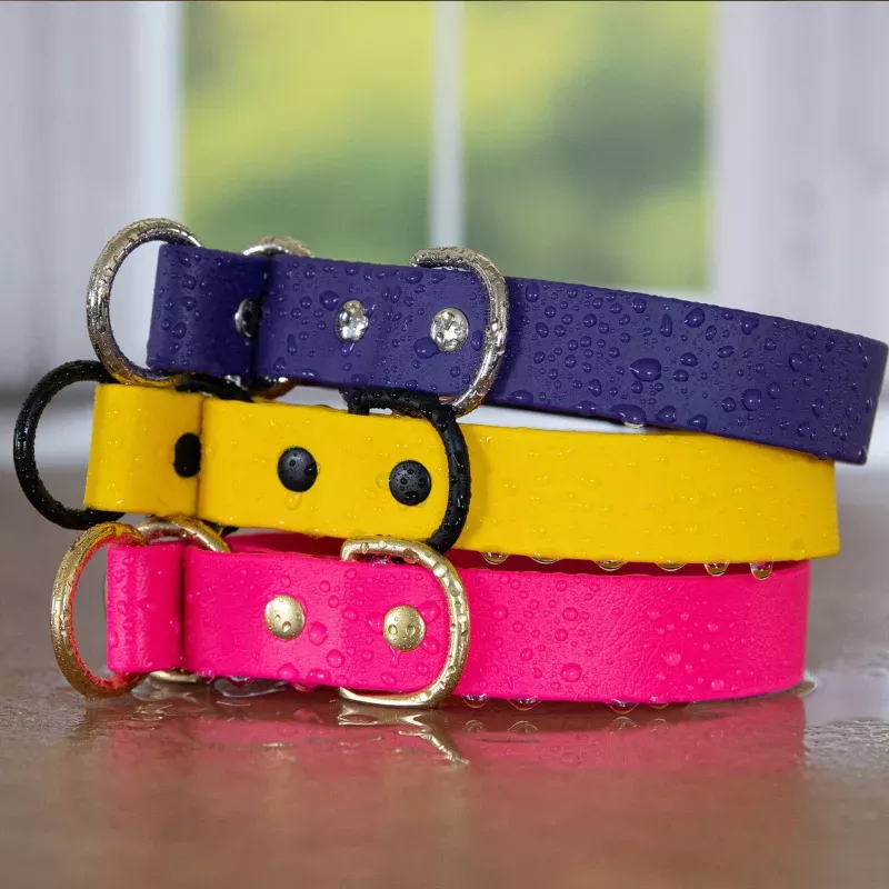 Waterproof BioThane Slip Collars for Dogs