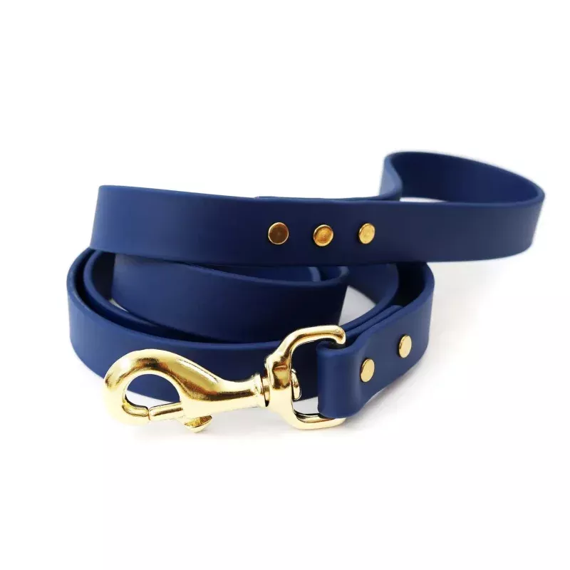 Waterproof Leash 4ft, Mimi Green 5/8" Cobalt