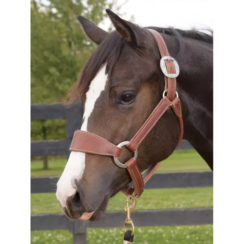 Weaver Leather Stacy Westfall Bronc Halter, Sunset Harness Sunset Brown