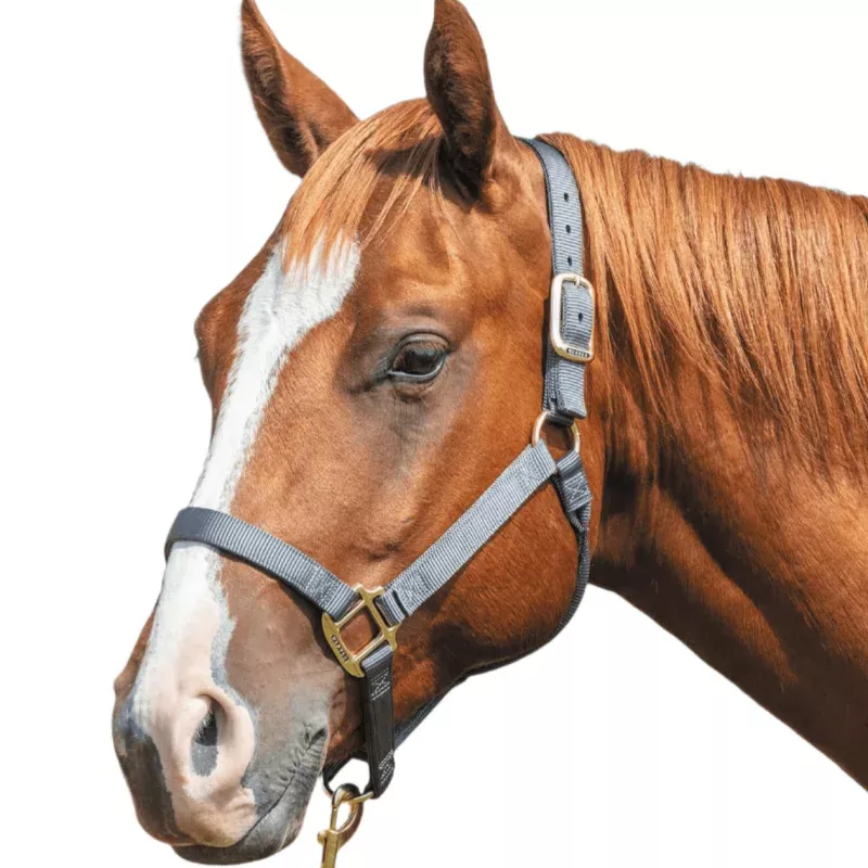 Weaver Original Nylon Horse Halter Black