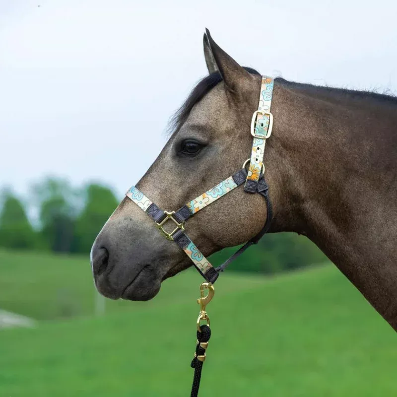 Weaver Patterned Nylon Overlay Halter for Horses Lost Creek