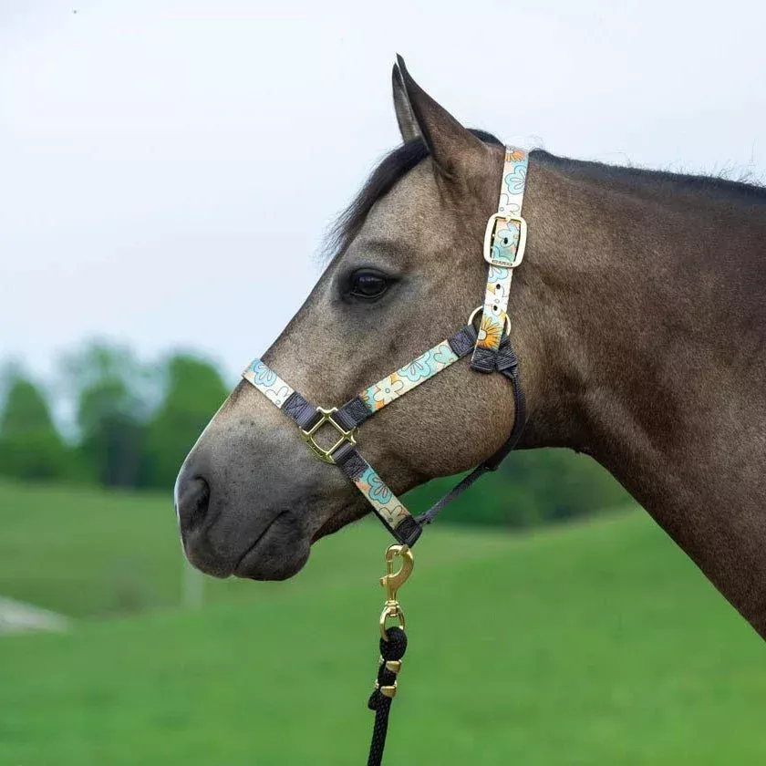 Weaver Patterned Nylon Overlay Halter for Horses