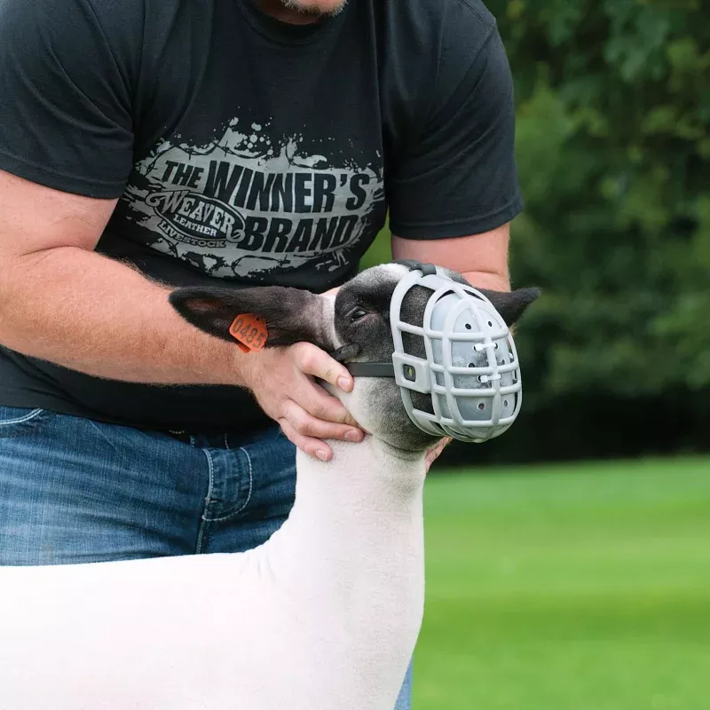 Weaver Plastic Sheep Muzzle Black