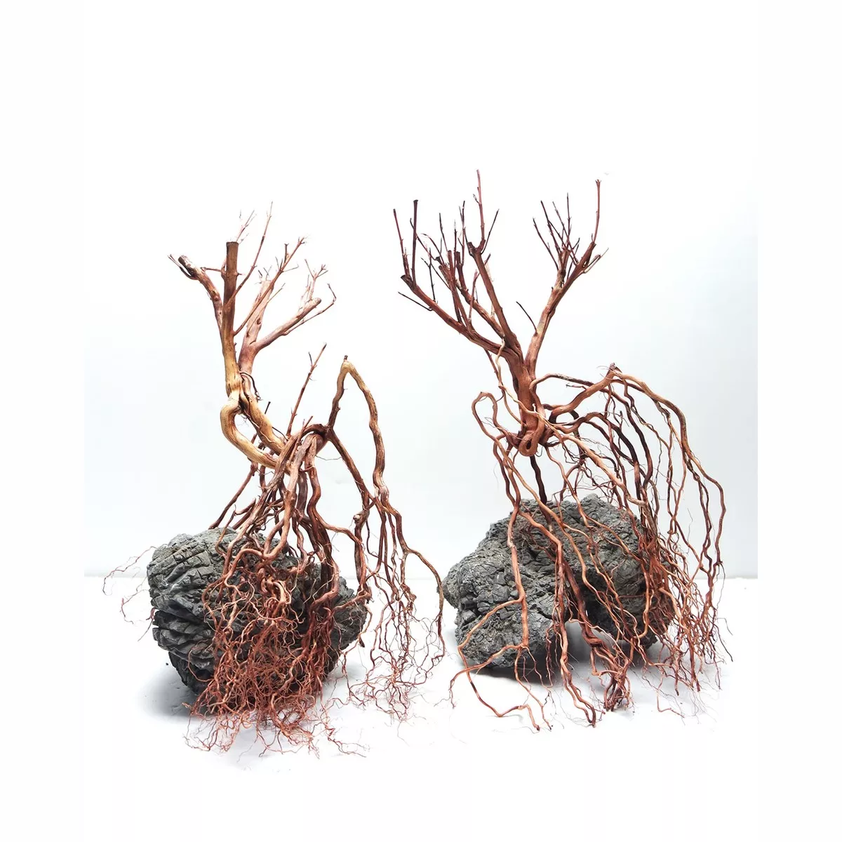 Whiskers Wood Small, 20-30 cm / box