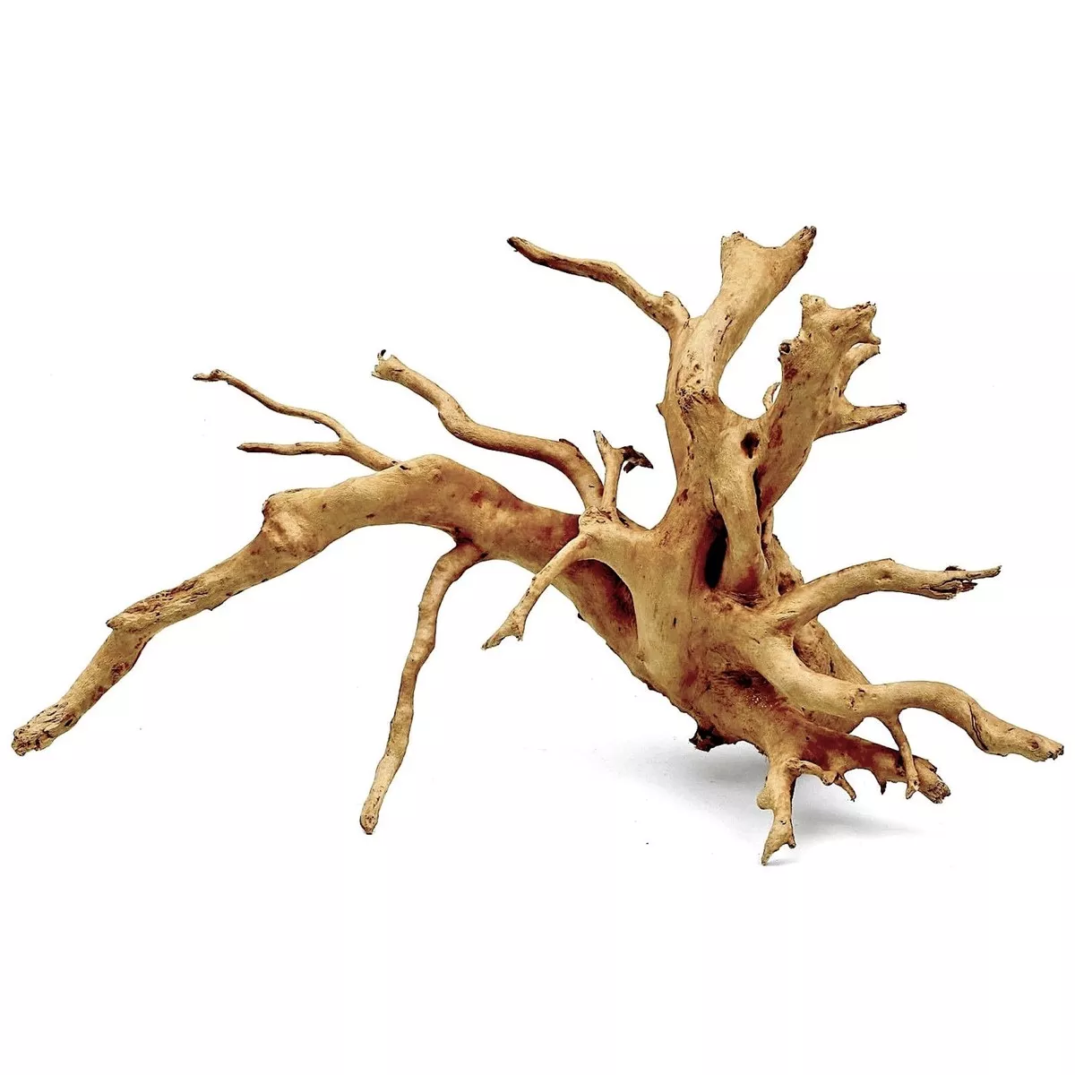 Wood Root XLarge, 51-60 cm / box