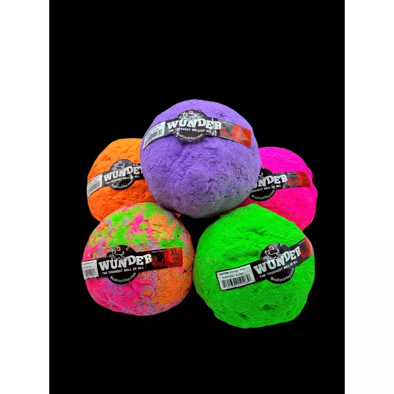 Wunderball Natural Rubber Dog Toy