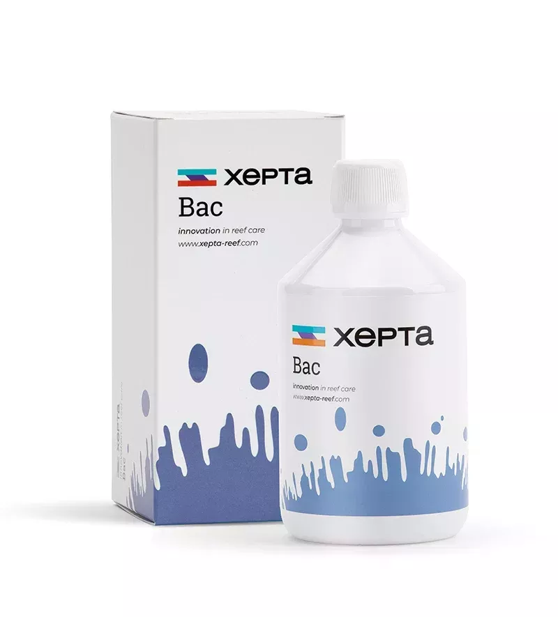 Xepta Bac