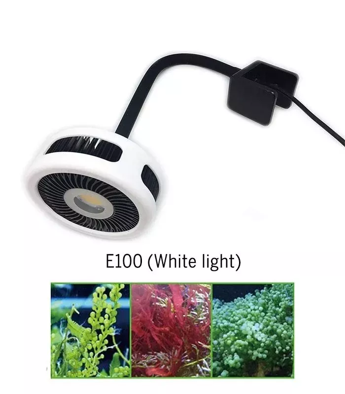 ZETLIGHT E100 Algae Light 12W (WHITE LED)
